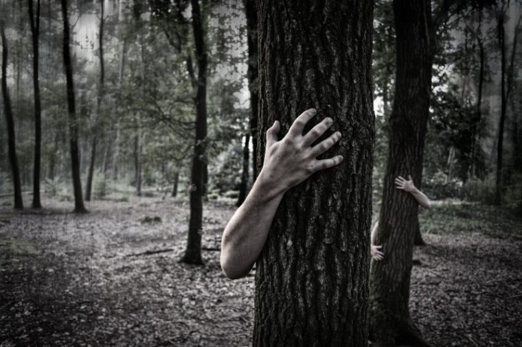 hands-trunk-creepy-zombies-forest-horror-scary