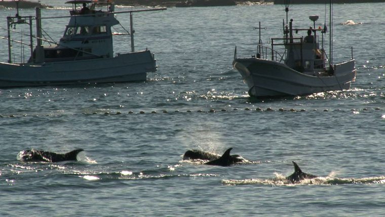 おクジラさま ふたつの正義の物語 サブ1